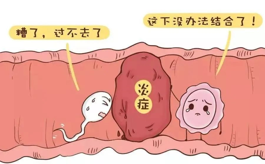 惠州代孕的私立医院,惠州第二妇幼保健院可以做三代试管吗？