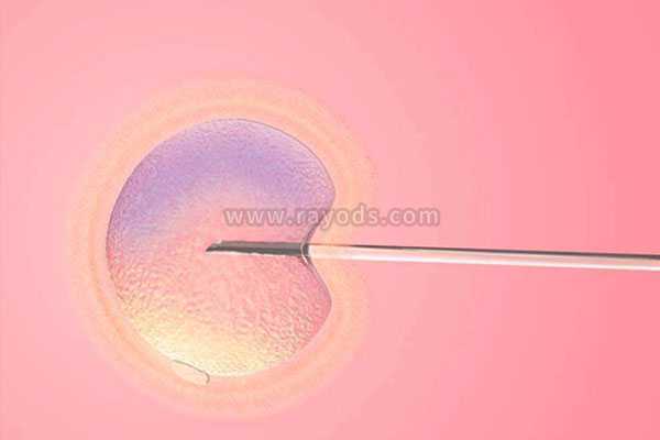 平凉单身男性借卵子_试管移植哪种胚胎成功率高？冻胚以及囊胚移植3种解读