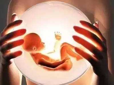 鹤岗借卵多少钱_武汉助孕试管婴儿专家建议促排卵期间准妈妈及时补充蛋白质