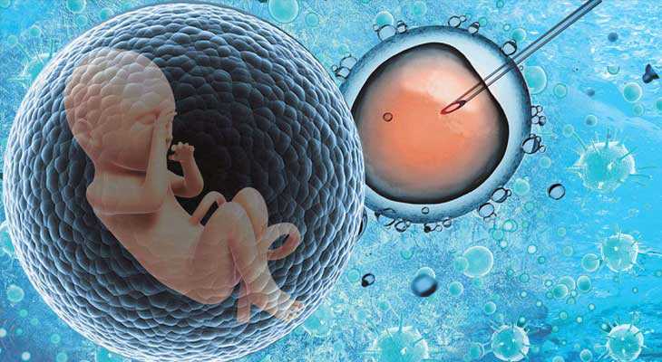 南汇卵巢衰竭能借卵生小孩吗_试管婴儿取精子检查注意哪些(做试管婴儿怎么取