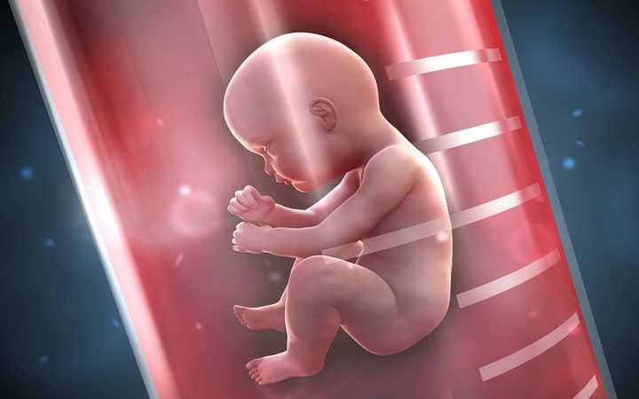 淮北借卵试管多钱_试管婴儿的胚胎移植时间是由什么因素来决定