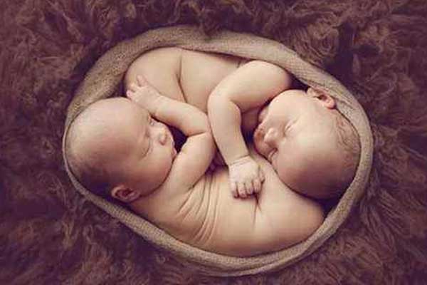 巢湖借卵子生子的成功率_试管婴儿6个半月早产龙凤胎能活吗孩子不足1公斤