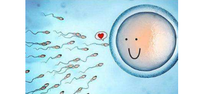 张家界试管代孕包成_长沙助孕试管婴儿要想成功移植胚胎的数量几枚才最好？