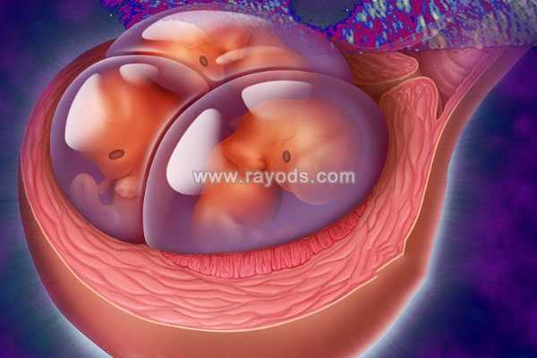 大同供卵代孕费用_泰国第三代试管婴儿：从囊胚培养开始避免多胎妊娠