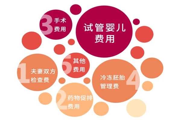 武清代孕助孕机构电话_武清最好的代孕公司_2021年在广东做试管婴儿费用大约多