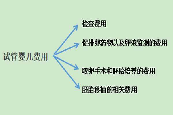 武清代孕助孕机构电话_武清最好的代孕公司_2021年在广东做试管婴儿费用大约多